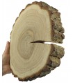 Holzscheibe Eiche, Durchmesser 25-30 cm, Dicke 6 cm, mit Rinde