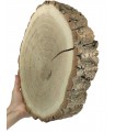 Holzscheibe Eiche, Durchmesser 20-25 cm, Dicke 5 cm, mit Rinde