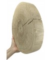 Holzscheibe Eiche, Durchmesser 30-35 cm, Dicke 5 cm, ohne Rinde