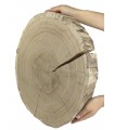 Holzscheibe Eiche, Durchmesser 40-45 cm, Dicke 6 cm, ohne Rinde