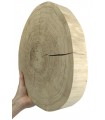 Holzscheibe Eiche, Durchmesser 25-30 cm, Dicke 5 cm, ohne Rinde