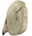 Holzscheibe Eiche, Durchmesser 25-30 cm, Dicke 4 cm, ohne Rinde