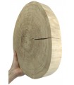 Holzscheibe Eiche, Durchmesser 25-30 cm, Dicke 6 cm, ohne Rinde