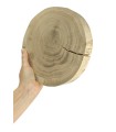 Holzscheibe Eiche, Durchmesser 15-20 cm, Dicke 3 cm, ohne Rinde