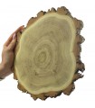 Holzscheibe Akazie, Durchmesser 20-25 cm, Dicke 2 cm, mit Rinde